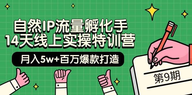 自然IP流量孵化手 14天线上实操特训营【第9期】月入5w+百万爆款打造 (74节)-宁率网络知识库