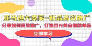 亚马逊 大卖家-新品高效推广，分享如何高效推广，打造百万美金爆款单品-宁率网络知识库
