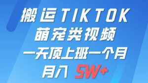 一键搬运TIKTOK萌宠类视频 一部手机即可操作 所有平台均可发布 轻松月入5W+-宁率网络知识库