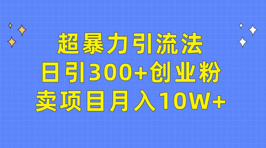 超暴力引流法，日引300+创业粉，卖项目月入10W+-宁率网络知识库