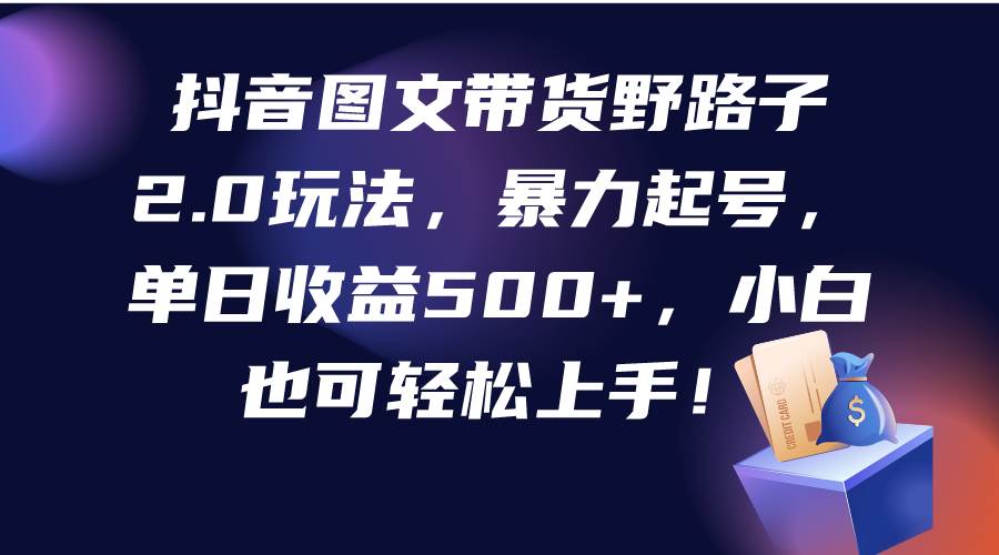 抖音图文带货野路子2.0玩法，暴力起号，单日收益500+，小白也可轻松上手！-宁率网络知识库