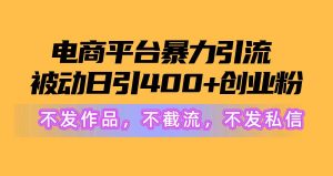 电商平台暴力引流,被动日引400+创业粉不发作品,不截流,不发私信-宁率网络知识库