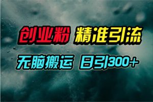 视频号纯搬运日引300+创业粉教程！-宁率网络知识库