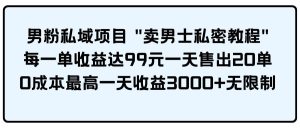 男粉私域项目 卖男士私密教程 每一单收益达99元一天售出20单-宁率网络知识库