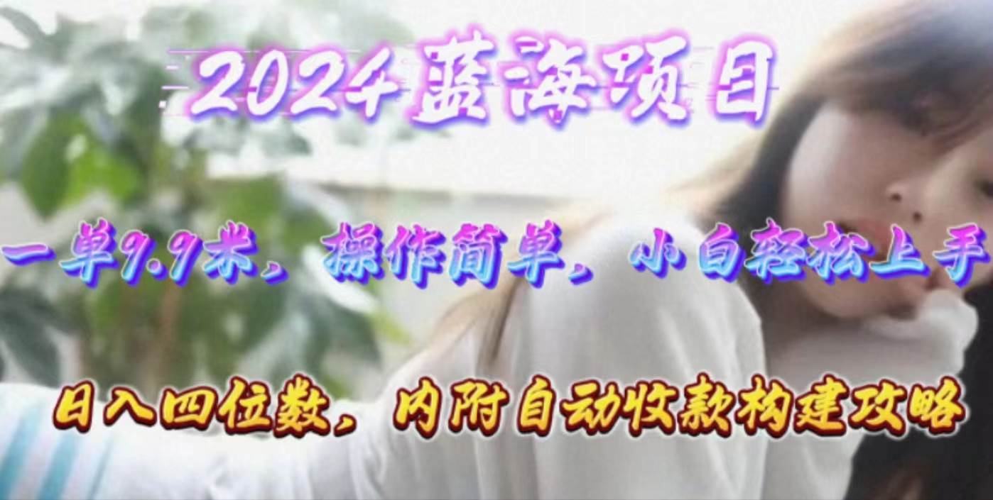 年轻群体的蓝海市场，1单9.9元，操作简单，小白轻松上手，日入四位数-宁率网络知识库