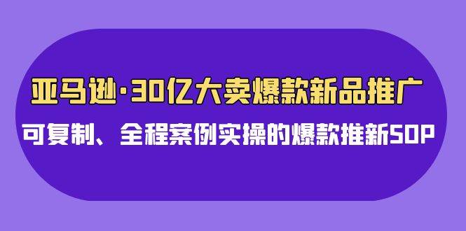 亚马逊30亿·大卖爆款新品推广，可复制、全程案例实操的爆款推新SOP-宁率网络知识库