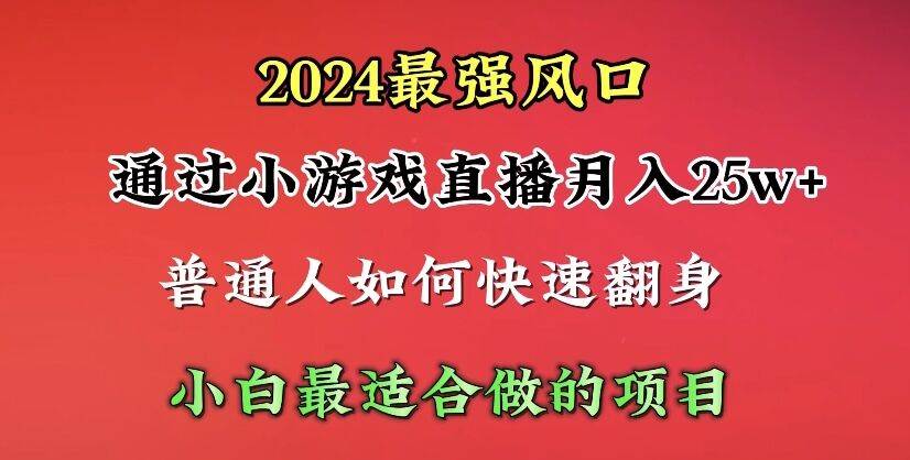 2024年最强风口，通过小游戏直播月入25w+单日收益5000+小白最适合做的项目-宁率网络知识库