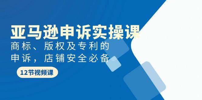 亚马逊-申诉实战课，商标、版权及专利的申诉，店铺安全必备-宁率网络知识库