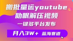 批量搬运YouTube解压助眠视频 一键多平台发布 月入2W+-宁率网络知识库