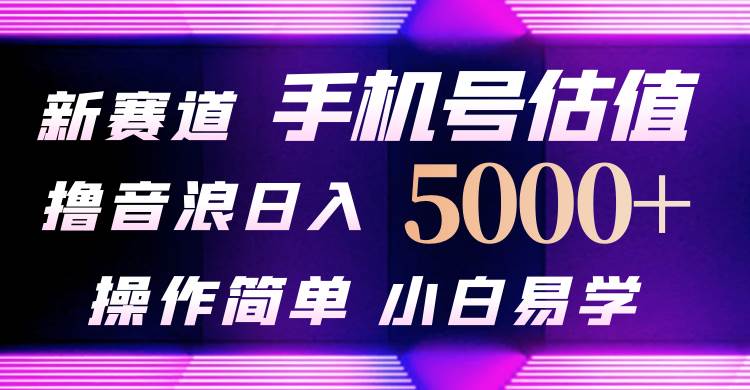 抖音不出境直播【手机号估值】最新撸音浪，日入5000+，简单易学，适合…-宁率网络知识库