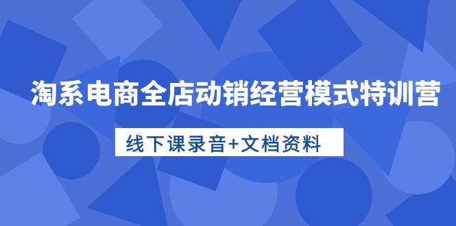 淘系电商全店动销经营模式特训营，线下课录音+文档资料-宁率网络知识库