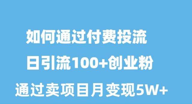 如何通过付费投流日引流100+创业粉月变现5W+-宁率网络知识库