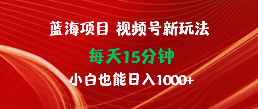 蓝海项目视频号新玩法 每天15分钟 小白也能日入1000+-宁率网络知识库