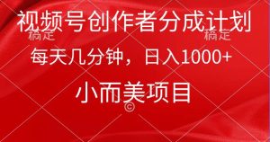 视频号创作者分成计划，每天几分钟，收入1000+，小而美项目-宁率网络知识库