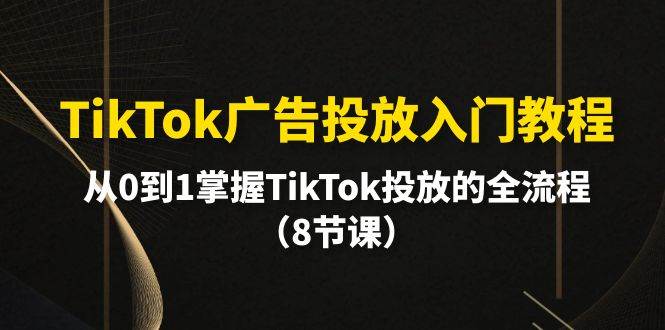 TikTok广告投放入门教程，从0到1掌握TikTok投放的全流程（8节课）-宁率网络知识库