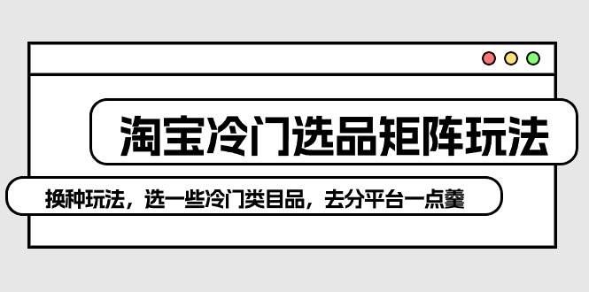 淘宝冷门选品矩阵玩法：换种玩法，选一些冷门类目品，去分平台一点羹-宁率网络知识库