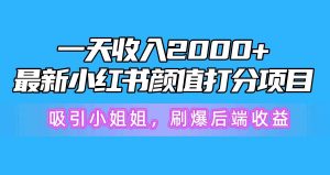 一天收入2000+,最新小红书颜值打分项目,吸引小姐姐,刷爆后端收益-宁率网络知识库