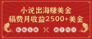 小说出海赚美金，稿费月收益2500+美金，仅需chatgpt粘贴复制，新手也能玩转-宁率网络知识库