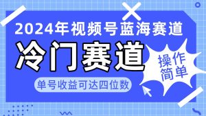 2024视频号冷门蓝海赛道，操作简单 单号收益可达四位数（教程+素材+工具）-宁率网络知识库