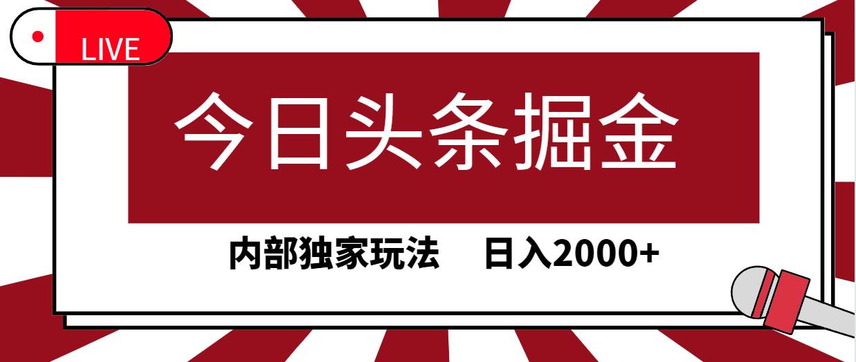 今日头条掘金，30秒一篇文章，内部独家玩法，日入2000+-宁率网络知识库