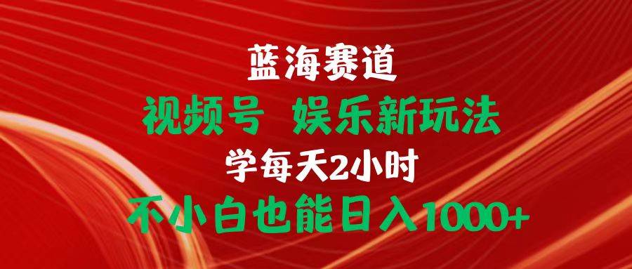 蓝海赛道视频号 娱乐新玩法每天2小时小白也能日入1000+-宁率网络知识库