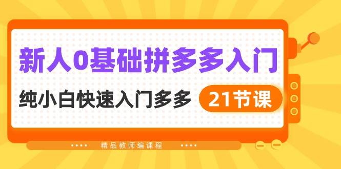 新人0基础拼多多入门，纯小白快速入门多多（21节课）-宁率网络知识库
