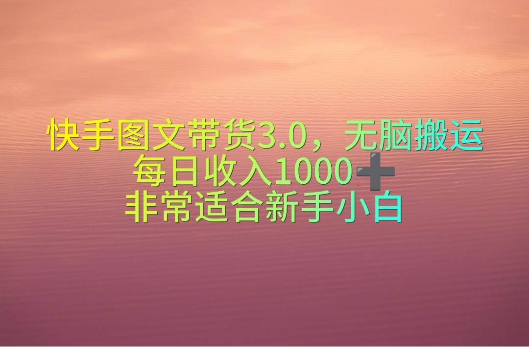 快手图文带货3.0，无脑搬运，每日收入1000＋，非常适合新手小白-宁率网络知识库