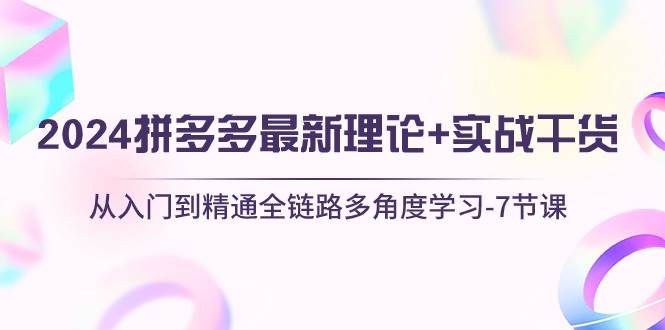 2024拼多多 最新理论+实战干货，从入门到精通全链路多角度学习-7节课-宁率网络知识库