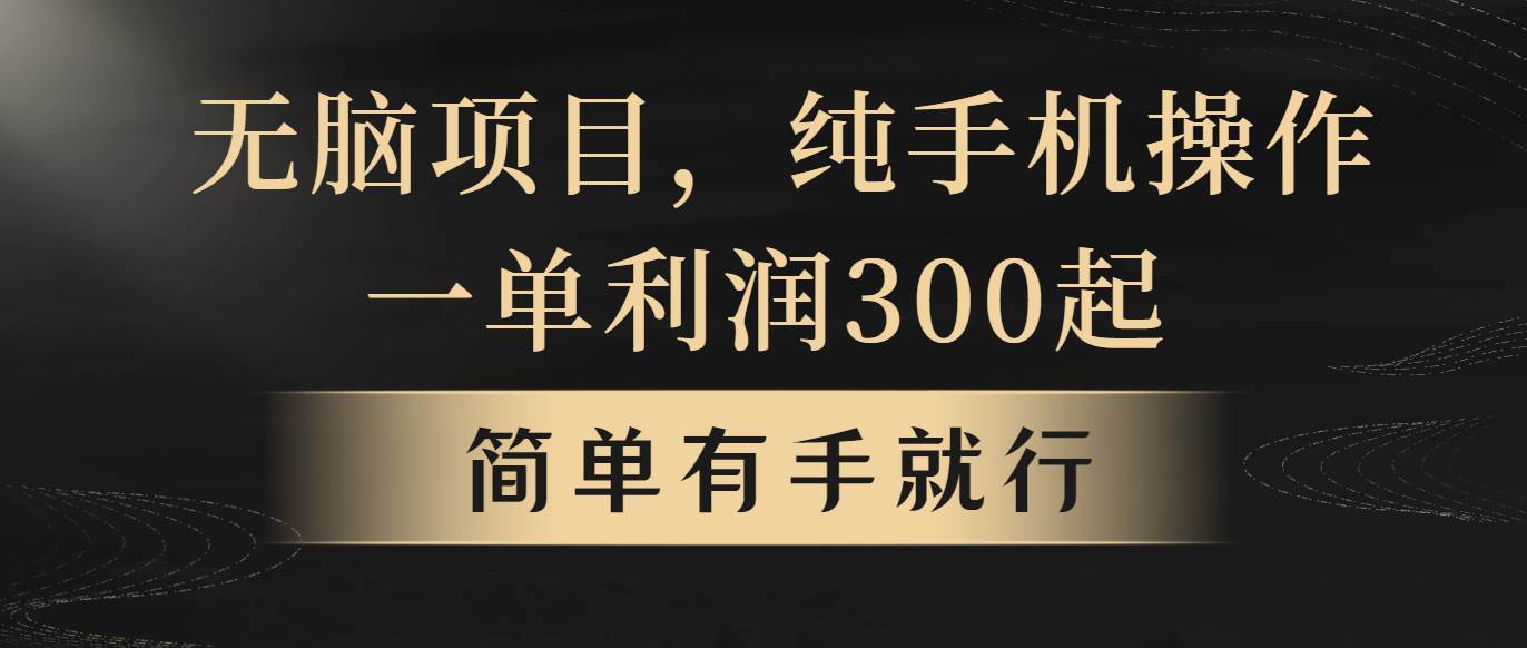 无脑项目，一单几百块，轻松月入5w+，看完就能直接操作-宁率网络知识库