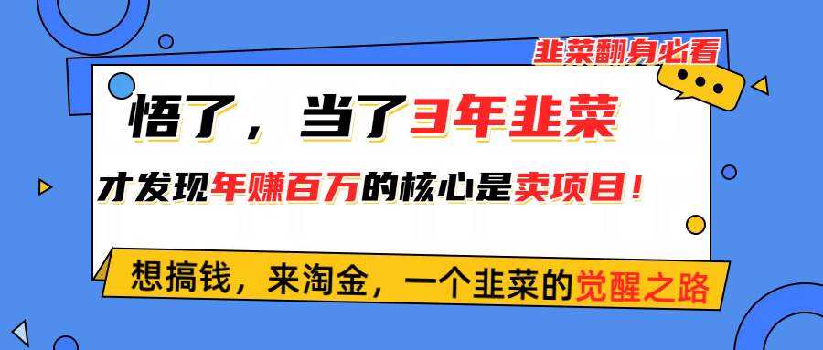悟了，当了3年韭菜，才发现网赚圈年赚100万的核心是卖项目，含泪分享！-宁率网络知识库