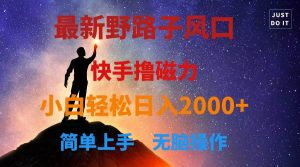 最新风口！快手撸磁力，野路子，小白无脑操作日入2000+-宁率网络知识库