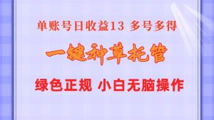 一键种草托管 单账号日收益13元  10个账号一天130  绿色稳定 可无限推广-宁率网络知识库