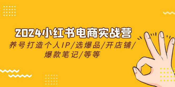 2024小红书电商实战营，养号打造IP/选爆品/开店铺/爆款笔记/等等（24节）-宁率网络知识库