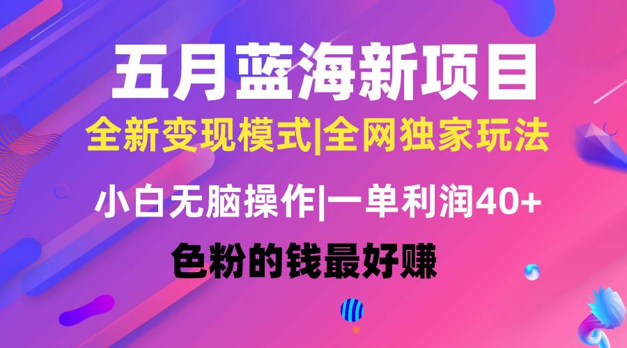 五月蓝海项目全新玩法，小白无脑操作，一天几分钟，矩阵操作，月入4万+-宁率网络知识库