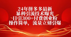24年拼多多最新暴利引流技术曝光,日引300+付费创业粉,操作简单,流量…-宁率网络知识库