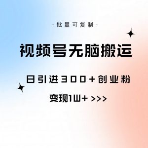 视频号无脑搬运日引300+创业粉,变现1W+可批量复制-宁率网络知识库