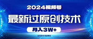 2024视频号最新过原创技术，当天起号，收益稳定，月入3W+-宁率网络知识库