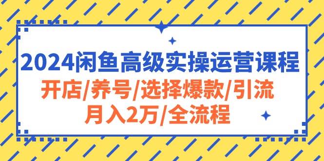2024闲鱼高级实操运营课程：开店/养号/选择爆款/引流/月入2万/全流程-宁率网络知识库
