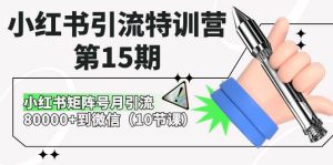 小红书引流特训营-第15期,小红书矩阵号月引流80000+到微信(10节课)-宁率网络知识库