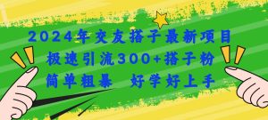 2024年交友搭子最新项目，极速引流300+搭子粉，简单粗暴，好学好上手-宁率网络知识库