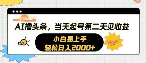 AI撸头条，当天起号，第二天见收益。轻松日入2000+-宁率网络知识库