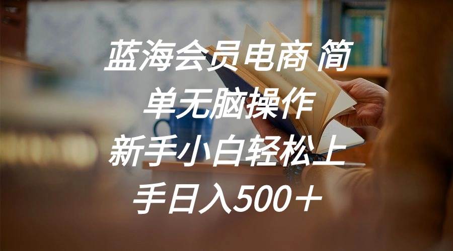 蓝海会员电商 简单无脑操作 新手小白轻松上手日入500＋-宁率网络知识库