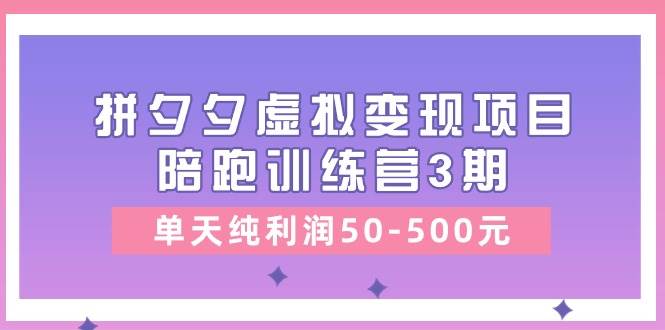 某收费培训《拼夕夕虚拟变现项目陪跑训练营3期》单天纯利润50-500元-宁率网络知识库