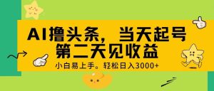 AI撸头条，轻松日入3000+，当天起号，第二天见收益。-宁率网络知识库