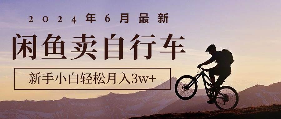 2024年6月最新闲鱼卖自行车，新手小白轻松月入3w+项目-宁率网络知识库