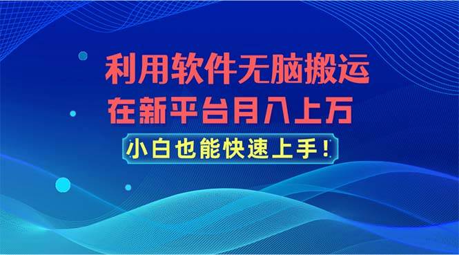 利用软件无脑搬运，在新平台月入上万，小白也能快速上手-宁率网络知识库