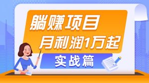 躺赚副业项目，月利润1万起，当天见收益，实战篇-宁率网络知识库