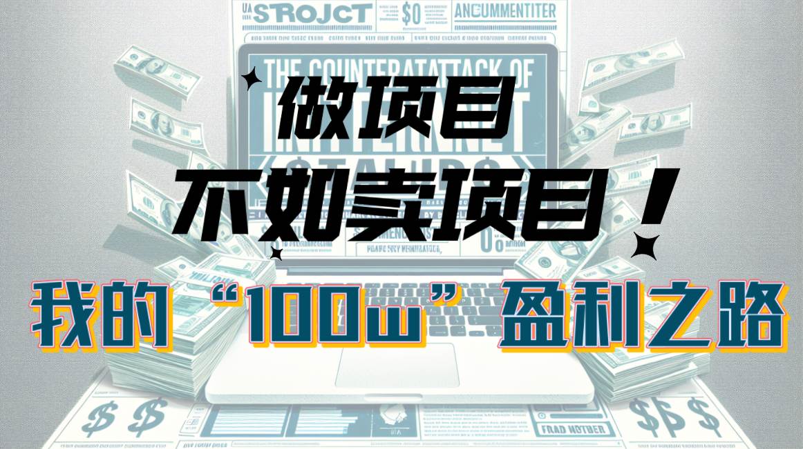 为什么做项目不如卖项目？我的100W+盈利之路-宁率网络知识库