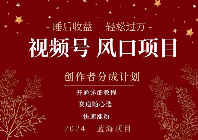拥有睡眠收益的微信视频号大风口项目，轻松月入过万+，多赛道选择，可…-宁率网络知识库