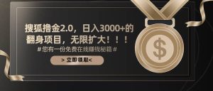 搜狐撸金2.0日入3000+，可无限扩大的翻身项目-宁率网络知识库
